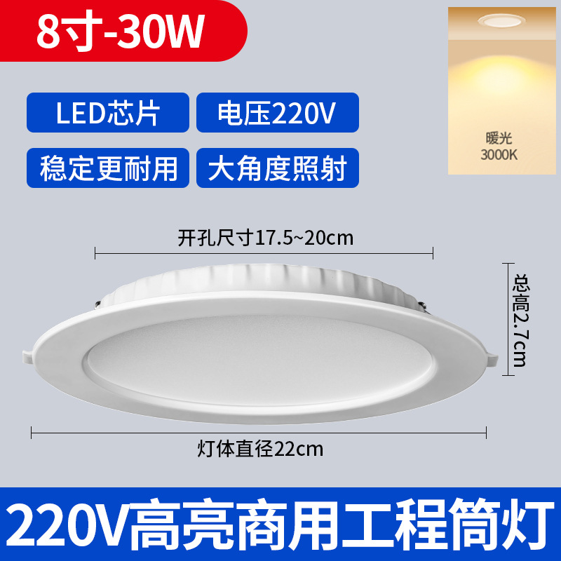Downlight LED Empotrable de Techo de PVC Ultrafino de Alta Luminosidad para Sala de Estar