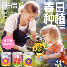 小花农种植盆栽 有钱花笑开花有桃花春日多巴胺办公室桌面小盆栽