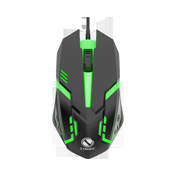 Lighting black single mouse