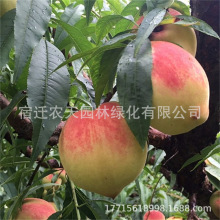 �����Ҙ�޽������Ե��Թ��������Ҙ�������ϱ����Nֲ����Y��