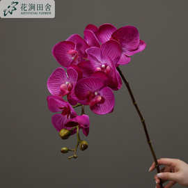 手感保湿蝴蝶兰 仿真花 大兰花摄影摆件高档家居装饰跨境大蝴蝶兰