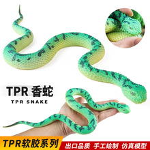 �羳TPR��̖����ܛ�z���ߴ����߷������ģ�̓�ͯ�J֪�f�}�����M