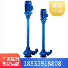 NPL立式泥浆泵 厂家直销 池塘清淤抽沙吸砂 大流量耐磨 全国发货