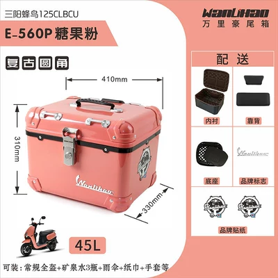 scooter storage and electric vehicle – Motorcycle trunk - rounded-corner-hummingbird-candy-pink-560pliningbackrest
