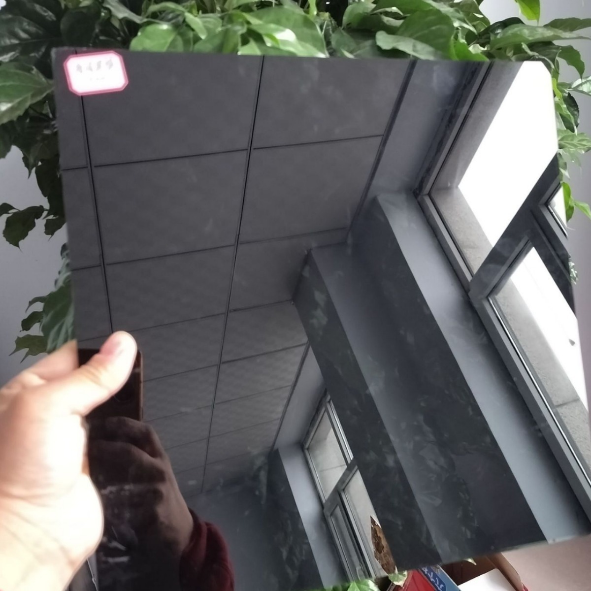 外销4MM 5MM 6MM 自然绿镀膜 建筑幕墙可出口批发