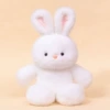 Paopau rabbit 【Official genuine】45cm