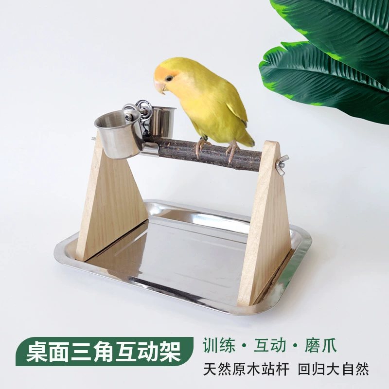 Настольная подставка для попугая, подставка для журналов, миска для еды из нержавеющей стали для птиц, палочка для шлифовки когтей, интерактивный деревянный штатив для тренировок
