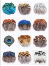 ��ë�ֹ������Ʒ���Ұ�uë��ë��؈������䁉��W��ȸ�{Ƭ