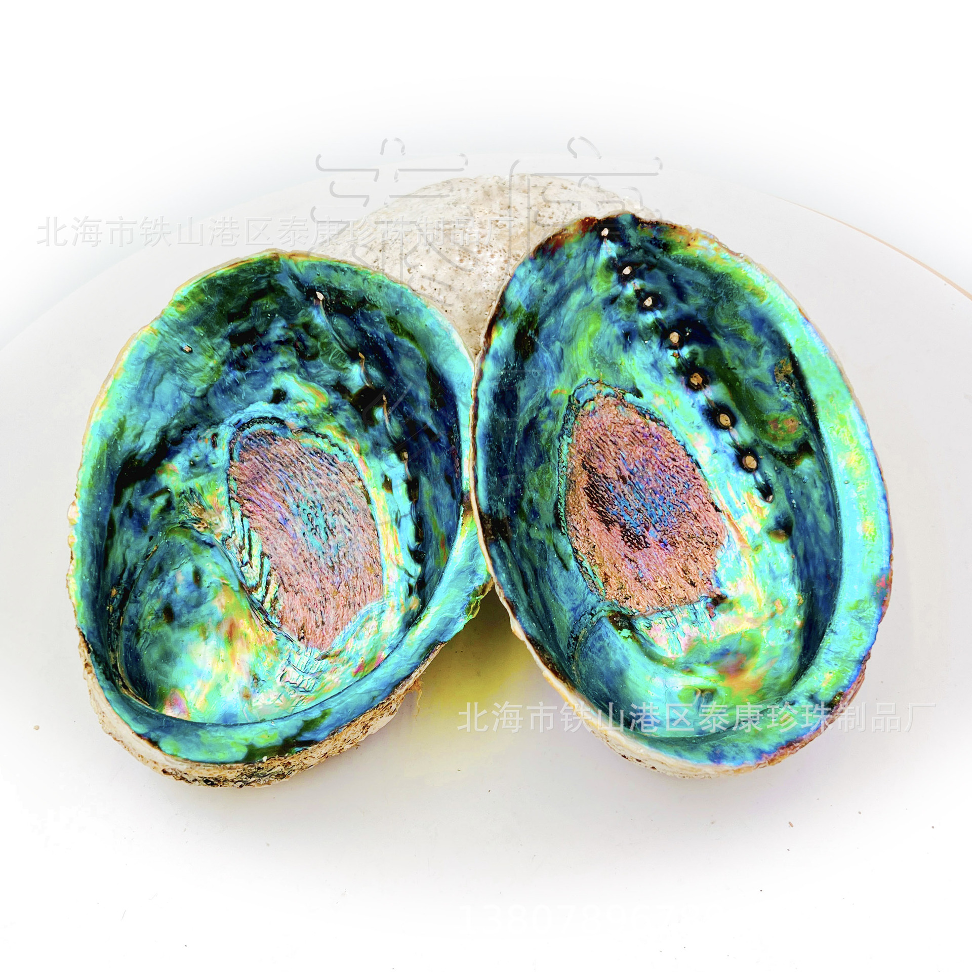 60e6dfc3-01ad-新西兰鲍鱼壳2个黑金鲍.jpg