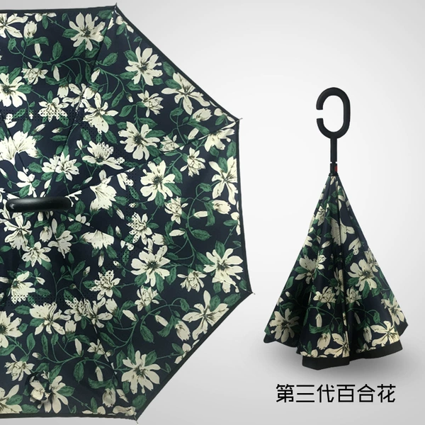㊢lily
