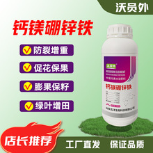 �}�V���\�F�~���ˮ�ܷʏS�����l���}�V���\�F��Ԫ�ط��ϱ�������