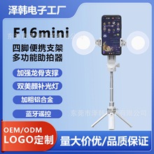 �羳���� F16mini��y�����֙C����������s�ۯB���ėU����֧��