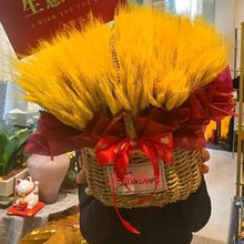 �_�I�������@�͏d�[�Ÿɻ����������S�������_�I�c��