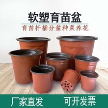 东奔双色盆软塑料营养钵多肉花盆一次性育苗杯厂家直销扦插神器