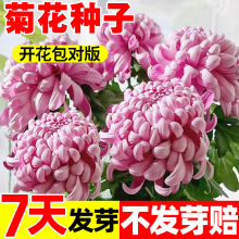 �ջ��N�Ӿ��¾�ƹ�Ҿս�K�մ�ջ��N���̨ͥԺ�����ش�ջ��N��