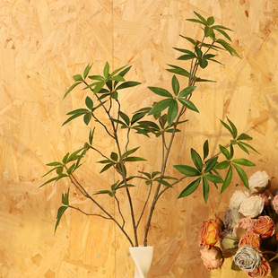 �S�����l��֧�lؔ��֦�~�ӾƵ�@���bGֲ�٘��~�ӿ͏d�羳���l