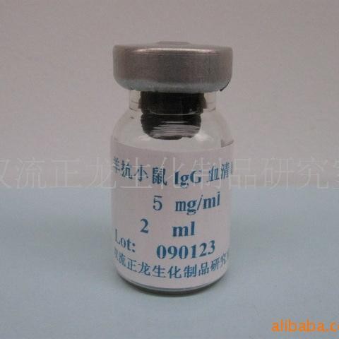 ɽ��С��IgG����-1.0MG