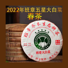 普洱茶生茶2022年雙賀茶廠班章喬木生態餅茶班章大白菜 五星青餅