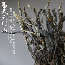 2024�^���������Tɽɭ�ֹŘ�������ϹŘ�����蜫��ˮ��500gɢ��