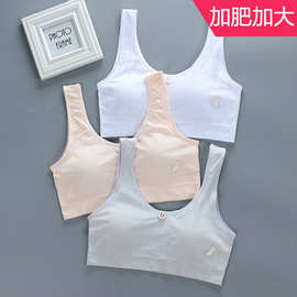 少女文胸大码胖女孩180斤裹抹胸罩夏薄背心式内衣 无钢圈棉高中生
