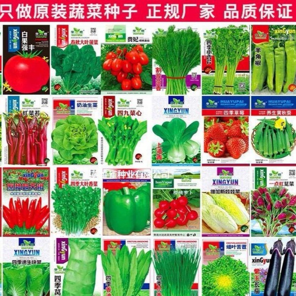 Vegetable Seeds Four Seasons Oil Water Watermelon Cucumber Fragrance…