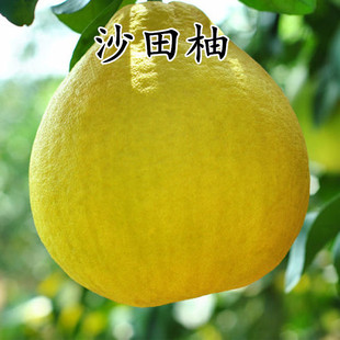 ������̩�����_���ּt�İ��������S�İ����ּ޽��֘��箔��Y����