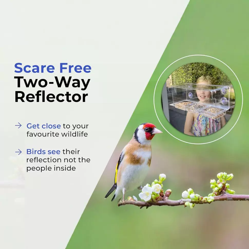 木质鸟类秋千架鸟笼配件实木小鸟站架 鹦鹉啃咬玩具宠物鸟站杠