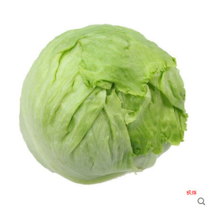 ボールレタス 10kg 送料無料雲南新鮮野菜サラダ材料洋風ハンバーガーラウンドレタスボールタイプ西洋レタス|undefined