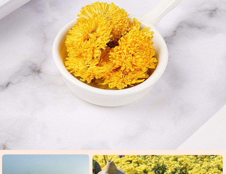 Wuyuan Imperial Chrysanthemum (Chrysanthemum morifolium) — Dried Golden Chrysanthemum Tea, 20g Jar in use