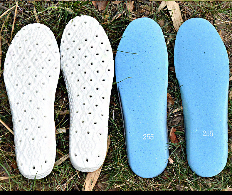 6bc57307-40be-48ec-bcaa-913e10271fc8.jpe