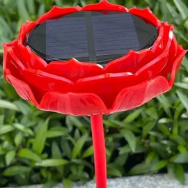 计数器;插卡音箱;视频机