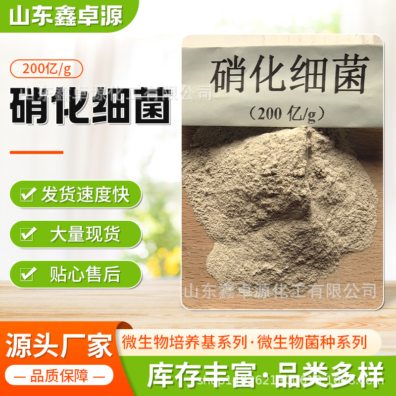 硝化细菌 硝化菌 好氧菌 污水处理降氨氮亚盐 硝化细菌粉