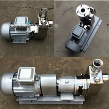 220v380v大流量自吸电动卸油泵 304不锈钢自吸排污卸油泵