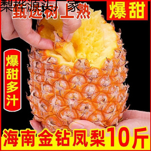 ���r����ˮ���Fժ�F�l1-10�ﺣ�Ͻ���P��10���b�S�Ҵ��l���]�羳