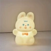 Baobao Rabbit