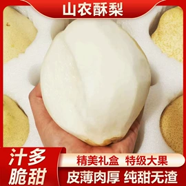 腰凳背带;防走失用品;户袖冰袖