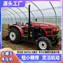 �|���tSN704�����������C���������r����������C�Ͱ����@������