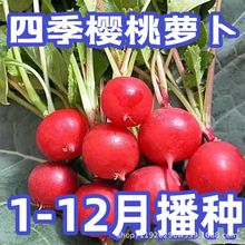 �ļ������}��ˮ���}�����ԼtƤ����С�}�������֭���r�߲��̨