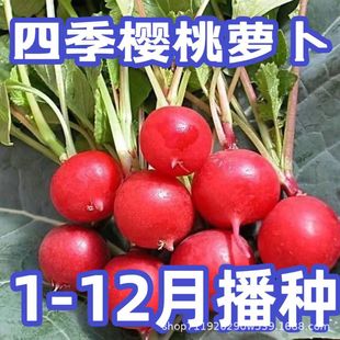 �ļ������}��ˮ���}�����ԼtƤ����С�}�������֭���r�߲��̨