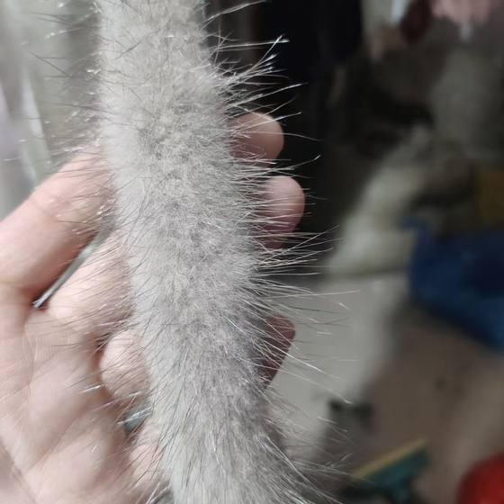 Supply Clothing shoes decorative materials DIY handmade cheongsam placket wool lace mink wool strip handmade accessories