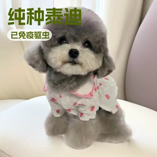 ���N̩����Ȯ���w�L����Ĳ豭Ȯ�F�eȮ��ɫ̩�ό��ﹷ�����w����