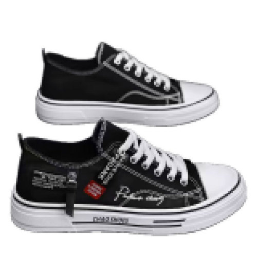 2025 Summer Canvas Shoes for Men, Classic Cloth Shoes, Youth Leisure Daily Canvas Shoes, Classic Trendy Shoes