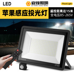 小さなリンゴ誘導投光器30W50W100W屋外防雨庭ビル赤外線人体誘導灯メーカー