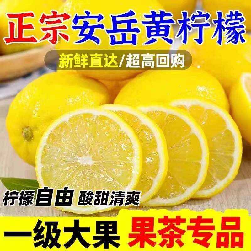 Сычуаньский желтый лимон Anyue 5/ 5kg свежий тонкокожистый лимон первого сорта, большой фрукт, свежие фрукты, молочный чай, эксклюзивный магазин