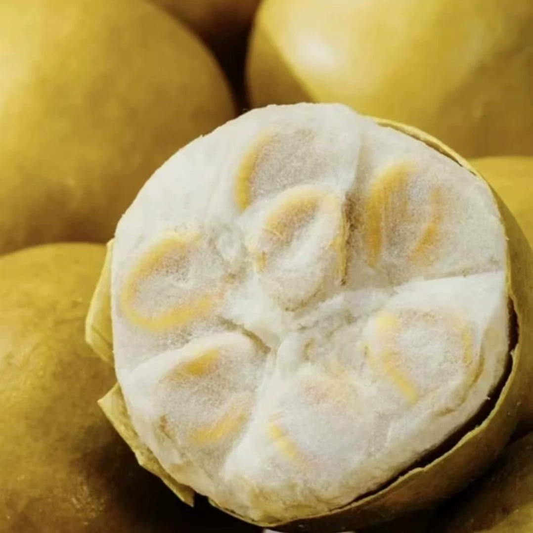 Low-temperature dehydrated golden fruit, a specialty of Guilin, Guangxi, individually packaged large, medium and small fruits, Luo Han Guo tea, direct sales from the origin
