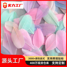 鹅毛飘头 彩色羽毛装饰diy饰品耳环耳饰捕梦网手工材料配件小羽毛