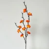 Mini Wintersweet Orange