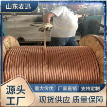 TJ-铜绞线 硬铜绞线接地母线镀锡铜绞线TJRX镀锡软铜绞线多股绞线