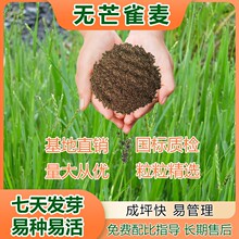 �oâȸ�����ݷN�Ӳ�ƺ�ݷN���ͺ��ˈ@ţ��߮a���ݻ��زݷN��ֱ�N