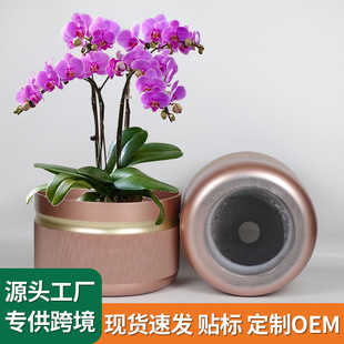 �����m���÷��մɻ���͹��m���b�ˮ��Gֲ���ܴ�ڏ���֬�A����